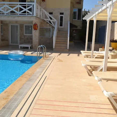 Safari N-17 Big Side